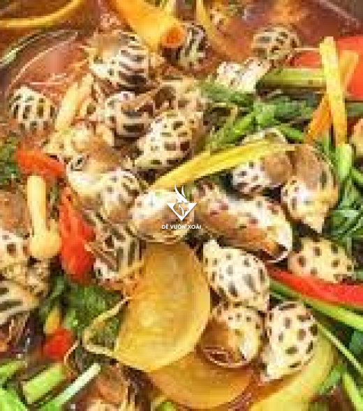 ỐC HƯƠNG HẤP THÁI