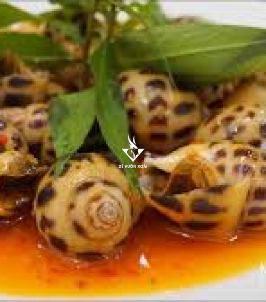 ỐC HƯƠNG SỐT CHANH DÂY