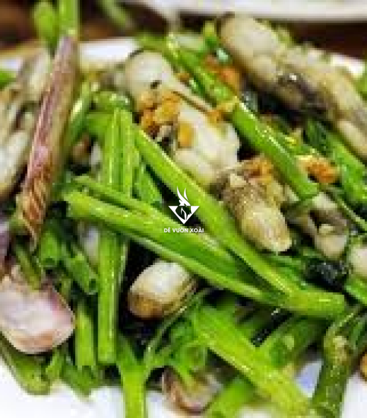 ỐC MÓNG TAY XÀO RAU MUỐNG